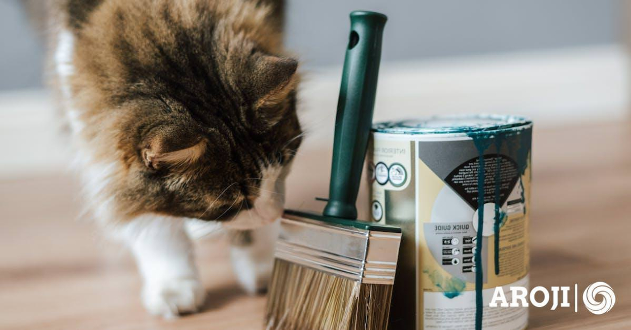 Focused cat observing paintbrush near paint pot with green color on parquet in light room